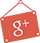 Follow Us On Google Plus Google Plus Icon